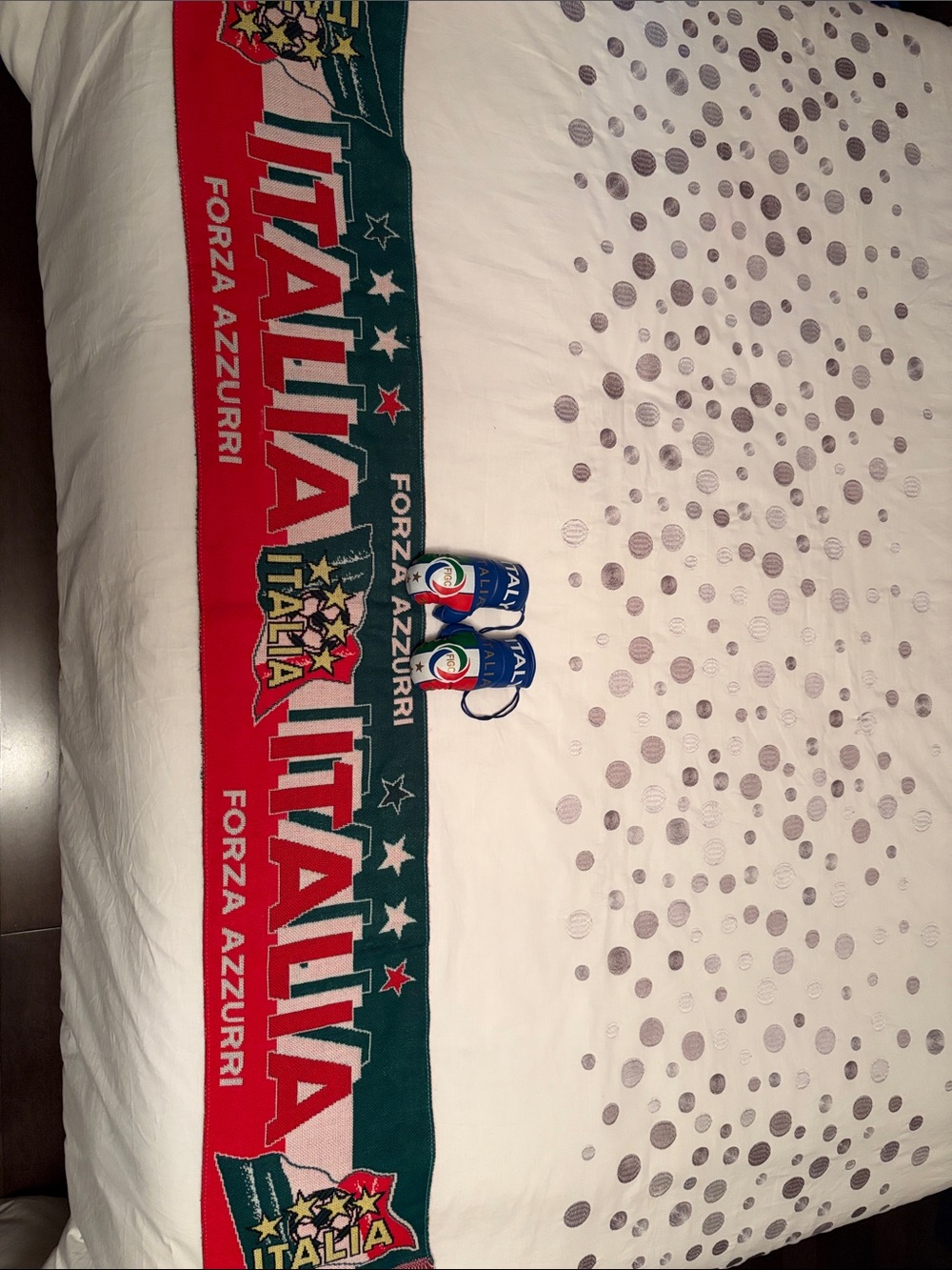 Italia Forza Azzurri Red & Green Fan Scarf Pack